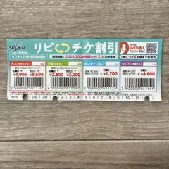 スキージャム勝山　割引チケット 2025-2026シーズン用　2枚セット