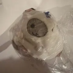 カルディ チンチラ マスコット ぬいぐるみ キーホルダー ハロウィン