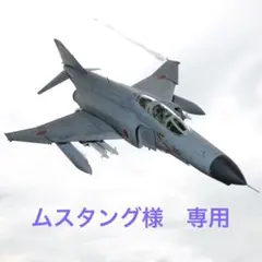 完成品） 造形村 1/48 F-4EJ 301号機「ファントム・フォーエバー