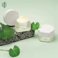 INCELLDERM ラディアンソーム トナー インセルダム - メルカリ