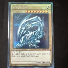 遊戯王 青眼の白龍 ホーリー・ナイト・ドラゴン 2枚セット - メルカリ