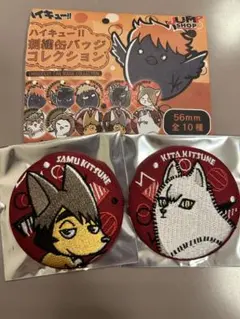 ハイキュー 刺繍 缶バッジ コレクション ツムキツネ 北信介 宮治