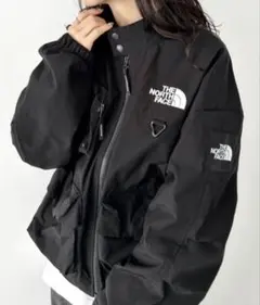 国内未発売 THE NORTH FACEワンポイントロゴ マウンテンパーカー