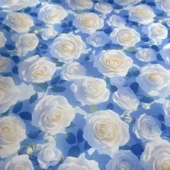 Su-chan様専用出品