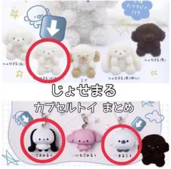 じょせまる ガチャガチャ めじるしアクセサリー　まとめ