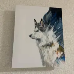 ののみや様 リクエスト 2点 まとめ商品