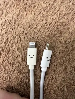 ELECOM　CtoLightningケーブル1.5m