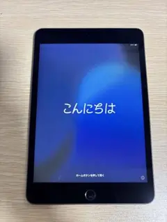 iPad mini 5 64gb wifi 箱なし