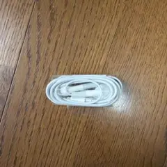 新品　iPhone付属イヤホン