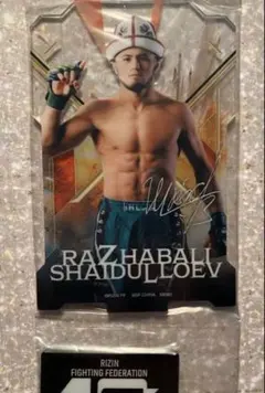 Item thumbnail for item 6ae60843-8b89-4130-8b8d-f668813c4d4f