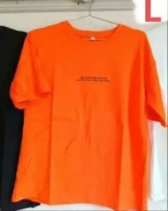 Item thumbnail for item 6c654c25-d8dd-4fd9-b907-ec9e90a40d3a