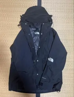 The North Face 1994 Retro Mountain Light