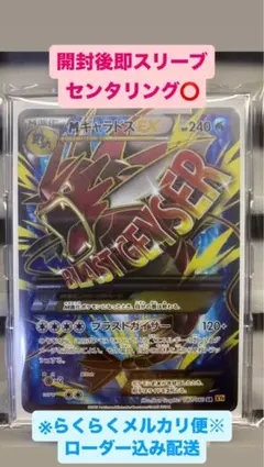 2026年最新】mギャラドスex srの人気アイテム - メルカリ