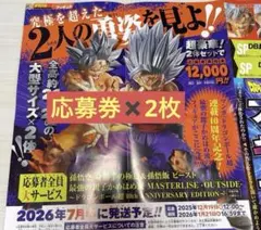 2枚セット　Vジャンプ　2月号　応募冊子　フィギュア　ドラゴンボール
