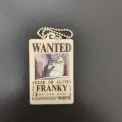 ワンピース　キーホルダー