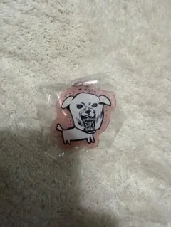 ガナディ アクリルマーカーチャーム