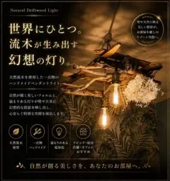 流木の吊り下げ照明 2灯式⭐️天然木⭐️LED電球専用⭐️E26