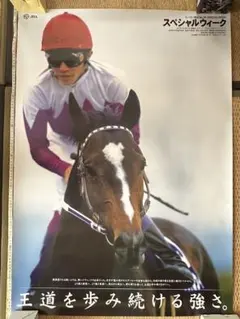 JRA ヒーロー列伝 NO.24〜31 ポスター オグリキャップ含む人気馬8枚