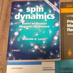 spin dynamics
