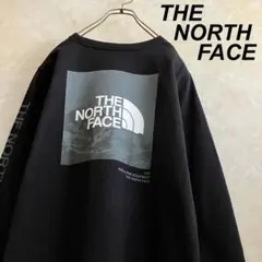 ノースフェイス スクエアロゴ 山ロゴ ロンt tシャツ 黒 L