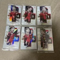 JAPAN NATIONAL VOLLEYBALL TEAM 6枚セット