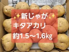 北海道産 じゃがいも 種芋 キタアカリ サイズS〜SS 1.0kg前後 24玉位