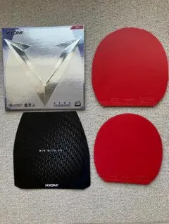 XIOM　VEGA JAPAN　ヴェガジャパン　2枚セット