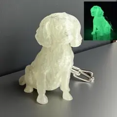 Item thumbnail for item ddab5c74-a018-4612-9cc6-39a90b45a128