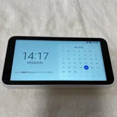 Galaxy SCR01