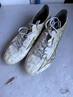 Item thumbnail for item 42e8fe8f-9b44-4a2e-b686-cd4f2426d96d