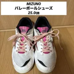 ミズノ　バレーボールシューズ　２５.０