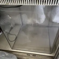 Item thumbnail for item 6d26dd3d-77b5-4702-a317-803b4f64255c