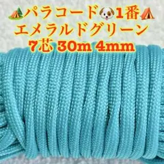 Item thumbnail for item b71cb5bb-b6e0-4d4d-88d9-e4ce60f371f9