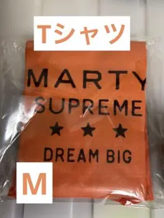 ティモシー・シャラメ 最新作マーティシュプリーム含む非売品プレス