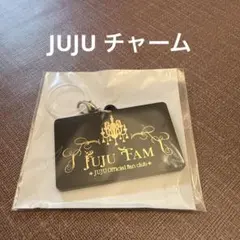 倖田來未 GURUポン ミニチャーム 新品未開封 | Mercari