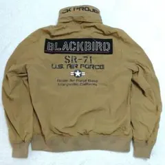 美品!AVIREX BLACKBIRD 2wayスタンドジップジャケット(XL)
