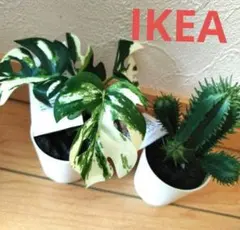 IKEA フェイカ 人工観葉植物　鉢カバー付　モンステラ&サボテン　2点セット④のサムネイル