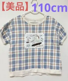 【美品】恐竜　110cm