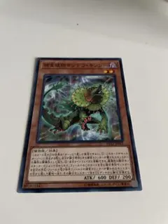 捕食植物サンデウキンジー スーパー 2枚セット - メルカリ