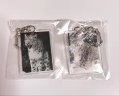 ゆかり様 リクエスト 3点 まとめ商品