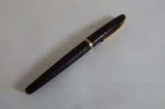 2026年最新】パイロット 万年筆 レトロの人気アイテム - メルカリ