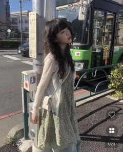 nugu ヌグ　小花柄レースキャミワンピース　anyonemore 韓国