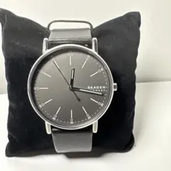SKAGEN SKW-6654 新品電池交換済みのサムネイル
