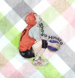 日向翔陽 クリアカード