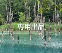 【専用出品】ヒロアカ　スイパラ　海の家　特典カード　切島