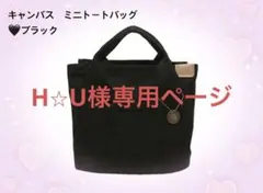 キャンバス ミニトートバッグ 大容量 仕切り付き 通学 通勤