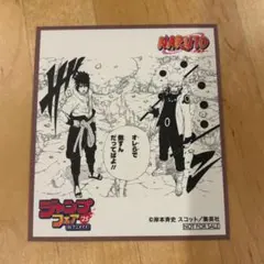 NARUTO ナルト ジャンプフェア’25 INアニメイト 非売品特典ミニ色紙