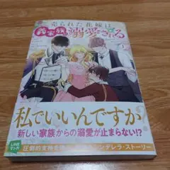 売られた花嫁は義家族に溺愛される(コミック)1