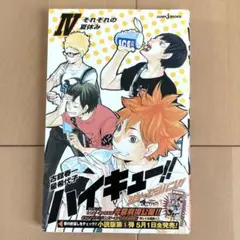 ハイキュー!! ショーセツバン!! IV それぞれの夏休み