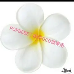 POPBEBE♡BY.POCO様専用　ミニチュア